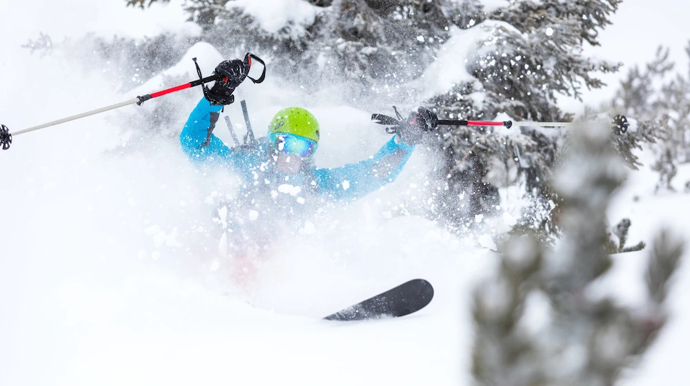 Blue skier in powder snow in the forest