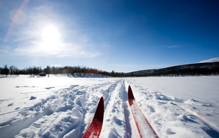 One straight cross-country skier