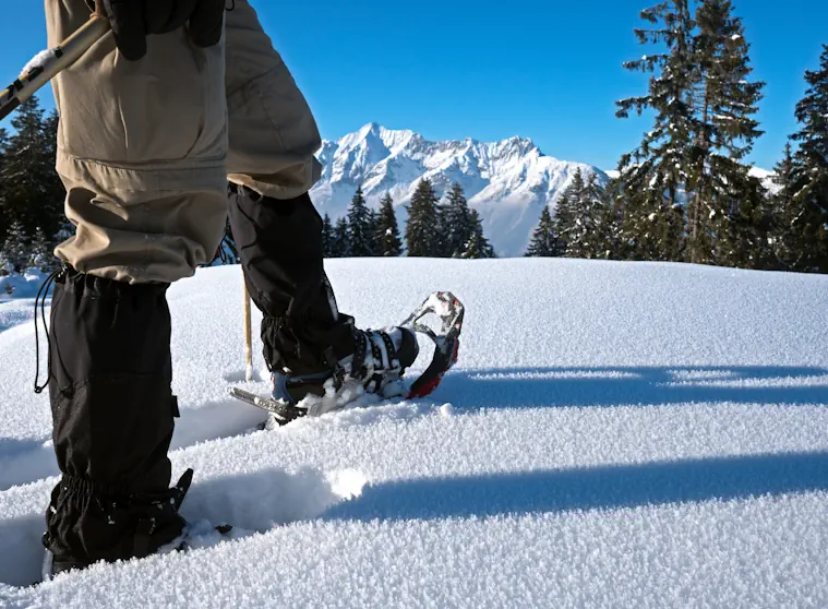 Snow shoes in motion